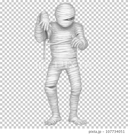 ミイラのイラスト 107734051