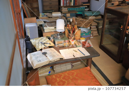 練馬区立牧野記念庭園 練馬区立牧野記念庭園 107734257