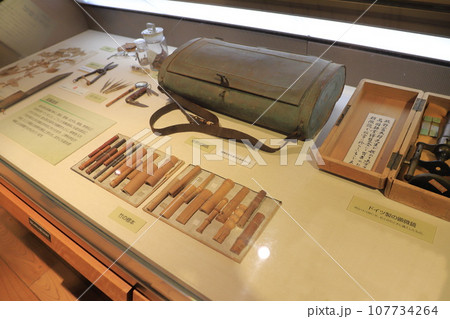 練馬区立牧野記念庭園 練馬区立牧野記念庭園 107734264