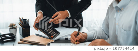 Accounting company provide finance and taxation for profit income. Insight 107734414