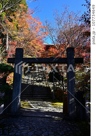 播州清水寺の紅葉 播州清水寺の紅葉 107734649