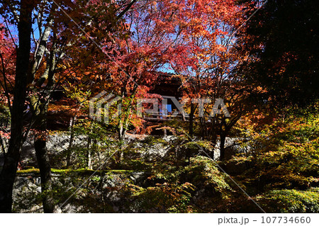 播州清水寺の紅葉 播州清水寺の紅葉 107734660