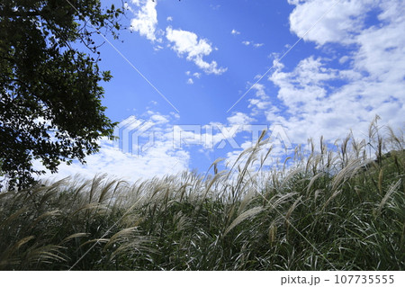青空と白い雲 107735555