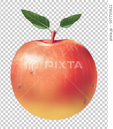 紅蘋果圓形寫實插畫 紅蘋果圓形寫實插畫 107735622