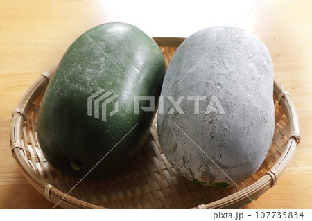 冬瓜スタジオ撮影 107735834