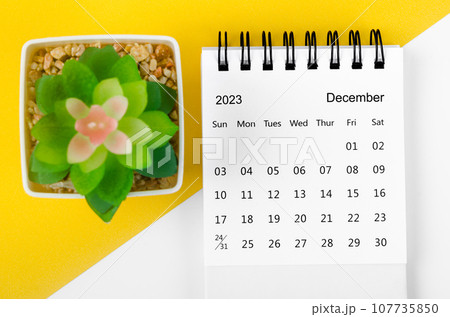The December 2023 Monthly desk calendar for 2023 year with small tree on yellow background. 107735850