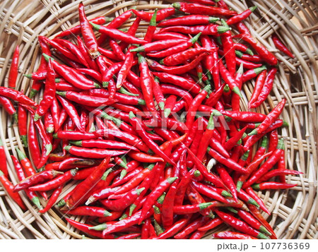 唐辛子 鷹の爪 唐辛子 鷹の爪 107736369