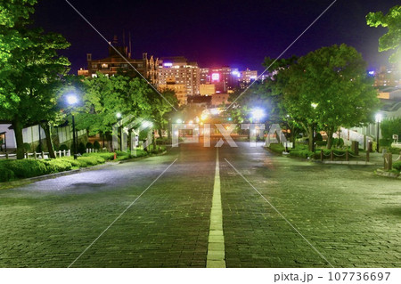 二十間坂・夜景(北海道・函館市) 二十間坂・夜景(北海道・函館市) 107736697