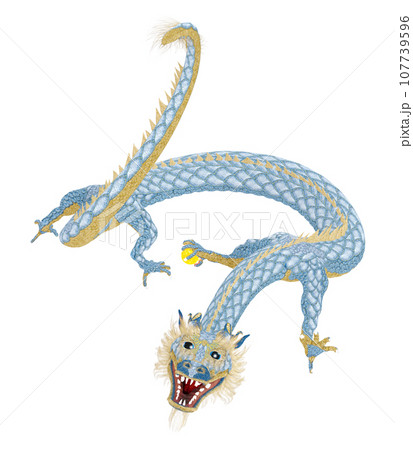 リアルな龍のイラスト 107739596