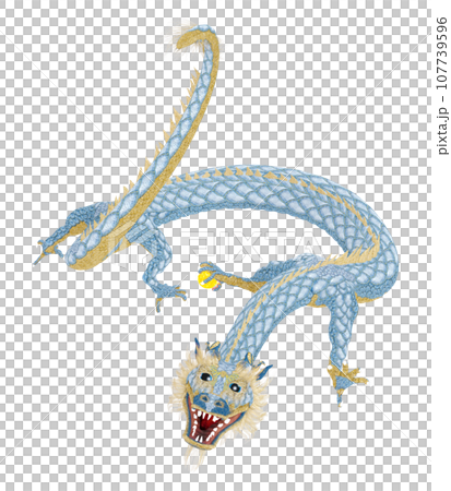 リアルな龍のイラスト 107739596