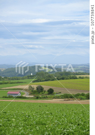 北海道 美瑛の「かしわ園公園」から見える景色 107739841