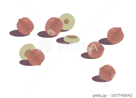 地面に転がったドングリのイラスト 107740042