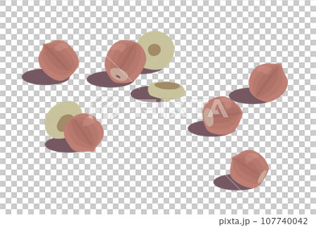 地面に転がったドングリのイラスト 107740042