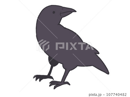 カラス 107740482