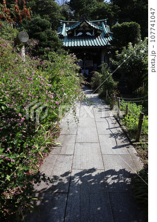 萩の花咲く常栄寺 107741047