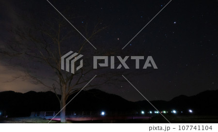 ツリーと星空 ツリーと星空 107741104