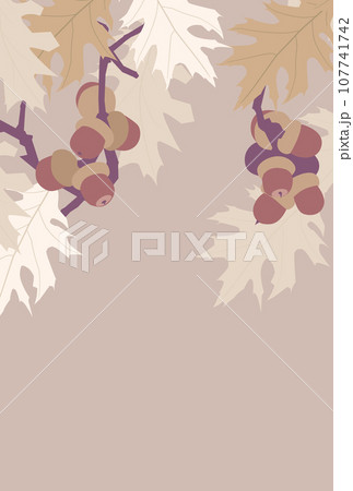 アカガシワの葉とドングリのイラスト アカガシワの葉とドングリのイラスト 107741742