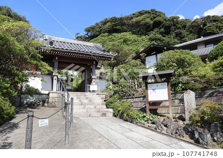 安養院 （神奈川県鎌倉市大町3丁目） 107741748