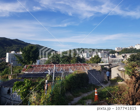 houses on the city 107741815