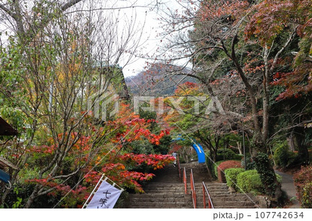 筑波山の紅葉 107742634