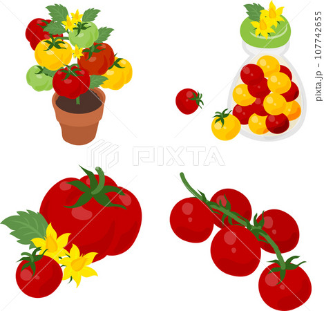植木鉢やピクルスなどの、新鮮でジューシーなトマトのアイコン 107742655