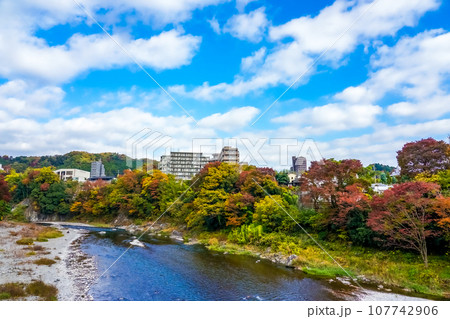 鮎美橋から多摩川上流の紅葉(東京都青梅市) 鮎美橋から多摩川上流の紅葉(東京都青梅市) 107742906