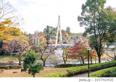 鮎美橋から多摩川上流の紅葉（東京都青梅市） 107742910