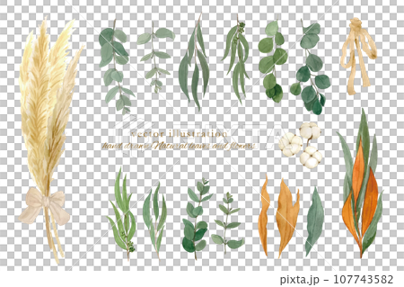 秋冬乾燥花套裝水彩畫 107743582