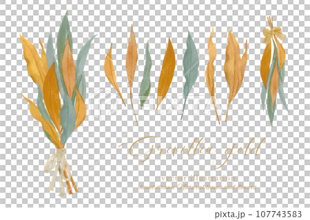 グレビレアゴールドのドライリースのベクターイラスト 107743583