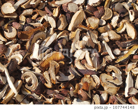 スライスして乾燥中のヤマドリタケモドキ スライスして乾燥中のヤマドリタケモドキ 107744148