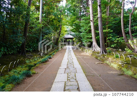 【日本】寿福寺のと参道と中門(鎌倉) 【日本】寿福寺のと参道と中門(鎌倉) 107744210