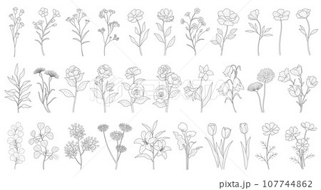 花のベクター線画イラストセット 107744862