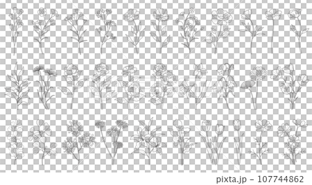 花のベクター線画イラストセット 107744862