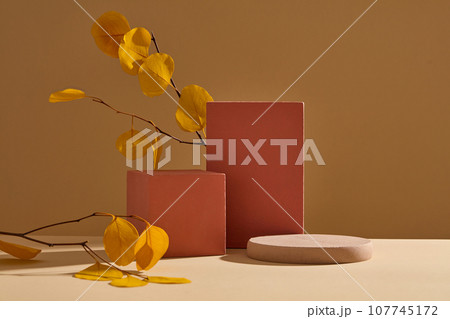 Minimalist art background with red and brown podiums decorated on brown background. Yellow leaves remind of a warm autumn. Advertising photo, front view 107745172