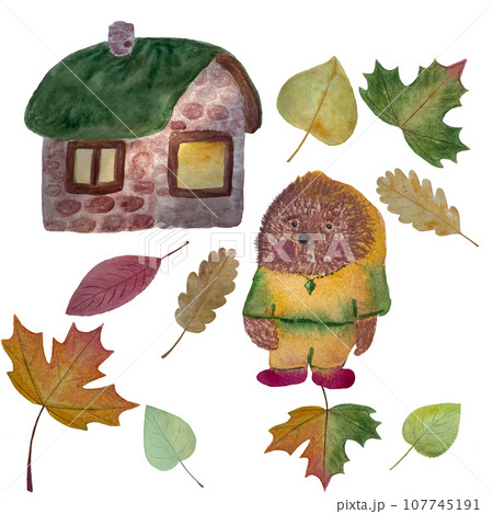 Hand painted watercolor hedgehog house on white 107745191