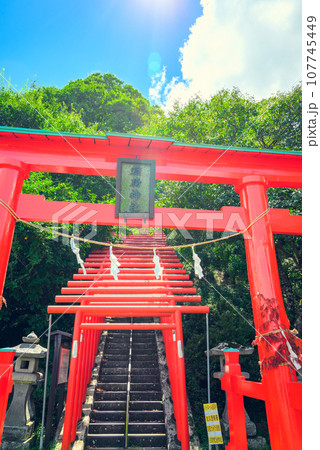 【臼田稲荷神社】千本鳥居【佐久市臼田】 【臼田稲荷神社】千本鳥居【佐久市臼田】 107745449