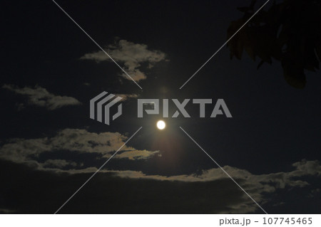 北杜市白州町、雲間に輝く月齢13.1、九月の小望月 107745465