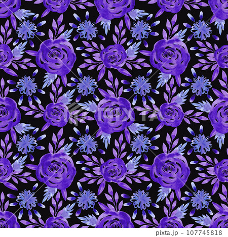 Hand drawn watercolor purple roses and leaves seamless pattern isolated on black background. Can be used for textile, fabric and other printed products. 107745818