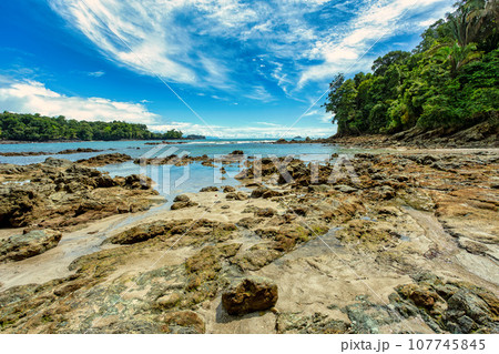 Playa in Manuel Antonio National Park, Costa Rica wildlife. Playa in Manuel Antonio National Park, Costa Rica wildlife. 107745845