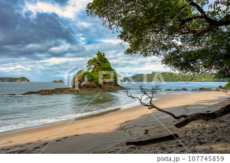 Playa in Manuel Antonio National Park, Costa Rica wildlife. Playa in Manuel Antonio National Park, Costa Rica wildlife. 107745859