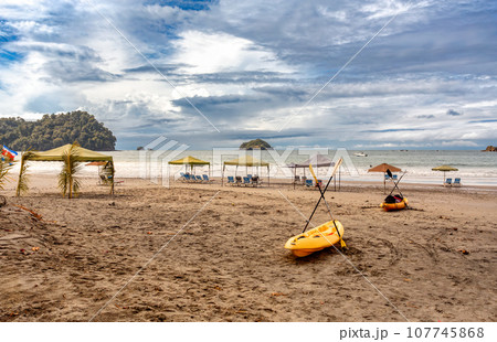 Playa in Quepos, Manuel Antonio National Park, Costa Rica wildlife. 107745868