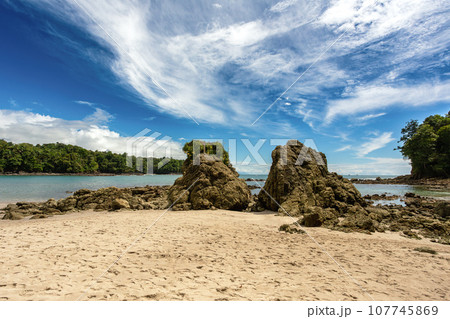 Playa in Manuel Antonio National Park, Costa Rica wildlife. 107745869