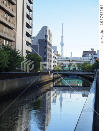 東京都　門前仲町から見るスカイツリー　9月 107747564
