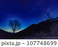 星空と一本の木 107748699