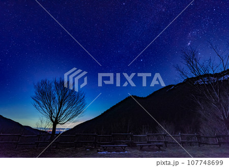 星空と一本の木 107748699