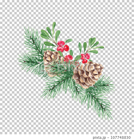Winter plants composition. Forest pine branches with cone, cowberry, lingonberry branch with green leaves and red berries. Symbols of the New year and Christmas. Watercolor hand painted illustration 107748830