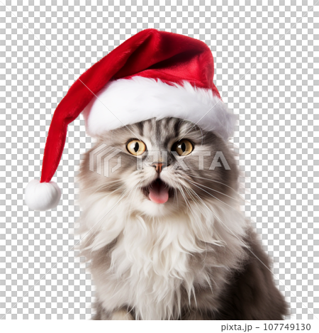 Cat wearing Santa hat, Christmas concept Cat wearing Santa hat, Christmas concept 107749130