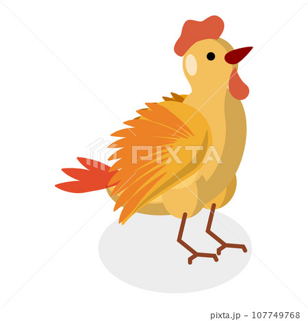 3D Isometric Flat Vector Set of Chickens. Item 6 3D Isometric Flat Vector Set of Chickens. Item 6 107749768