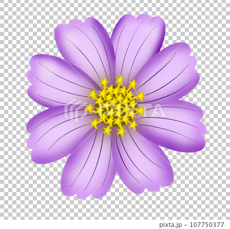 set of different types of flowers set of different types of flowers 107750377