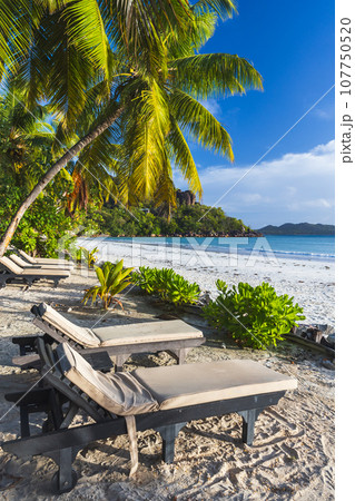 Cote D'Or Beach, Praslin island, Seychelles. Vertical seaside view 107750520